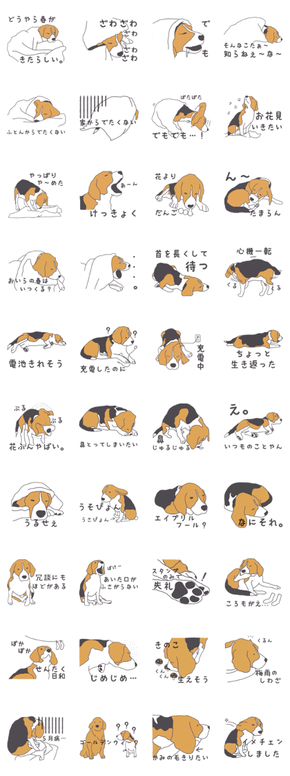 I love my beagle! 3