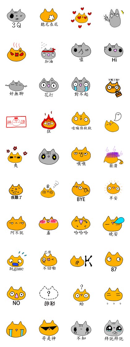 Pily cat