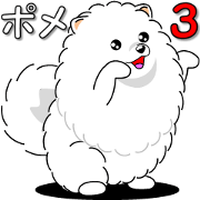 Pomeranian 3 "white Pomeranian"