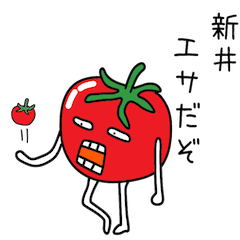 広島産トマトが新井さんを応援するパート2