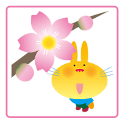Cute Spring Rabbit