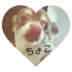 sumire_20200715191505