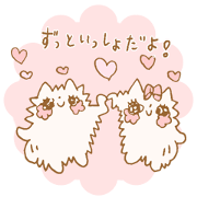 Pomeranian Sora&Rico MOFUKKO