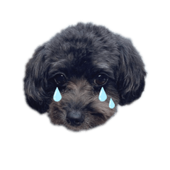 nagisa_20200715212554