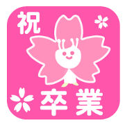 Sakura,Cerry Blossoms Graduation
