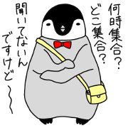 penguin&polar bear&seal is best friend
