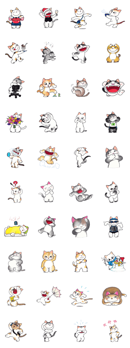 Funny Life of Cats