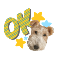 ayumi_20200716000635