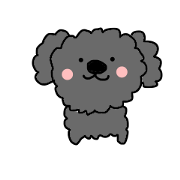 Cute puppy Toipudoru of Noah