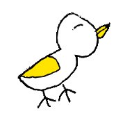 New Bird