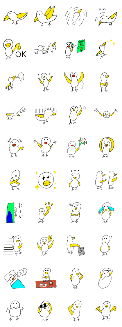 New Bird