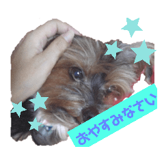 grace_20200716011558