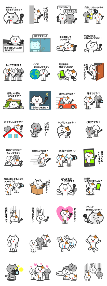 Cat reporter