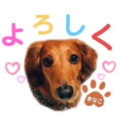 cominomama_20200716085107