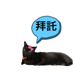 哈哈哈哈哈哈哈哈哈222