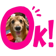 hikari_20200715130945