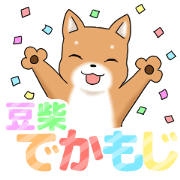 little mame shiba ( Large letters )