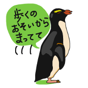 That COOL Guy is Rockhopper penguin!