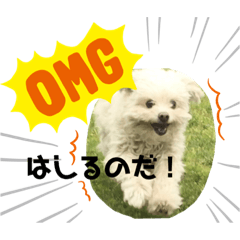 Hayato_20200715144719