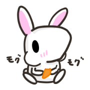 easygoing rabbit