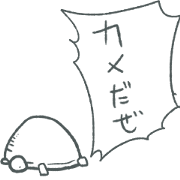 Hot turtle