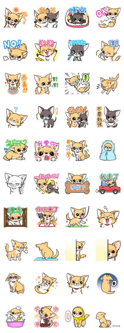 Together with Chihuahua!(Taiwan Ver.)