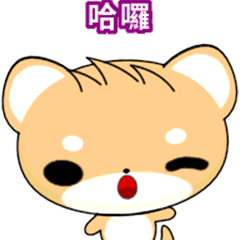 晴天柴 ( 有趣的 )    .