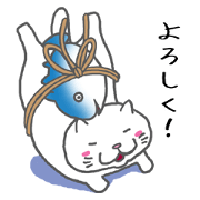 obentoh cat(maguro)2nd siro