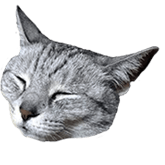nekoinuneko