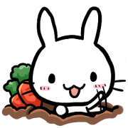 The sweet & the bitter of life Catrabbit