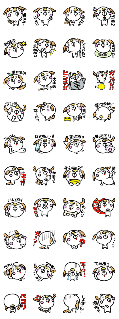 Cute dog Rintaro