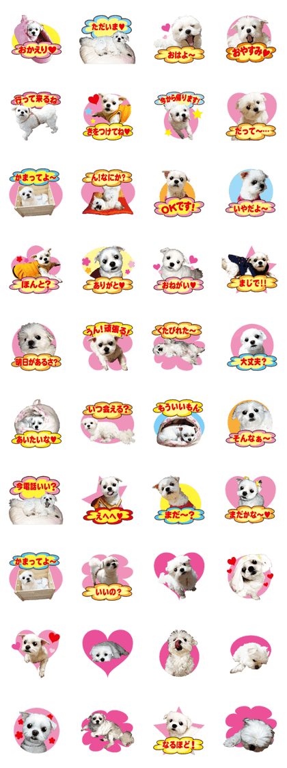 Momocyannsticker