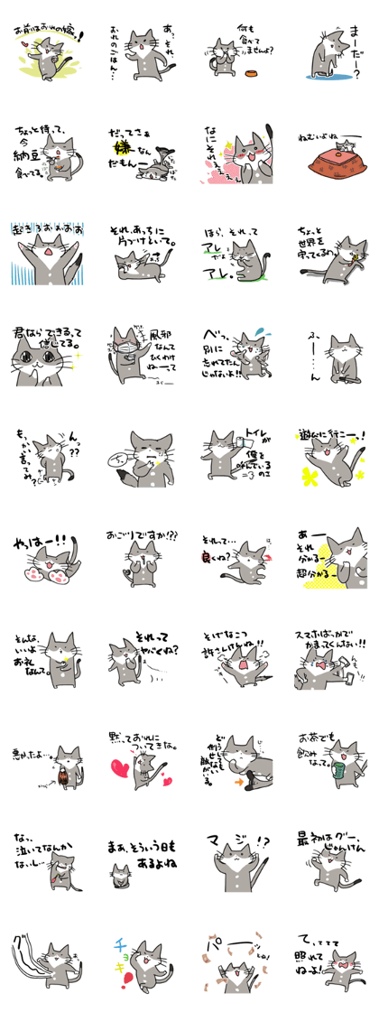 CutyGrayCat