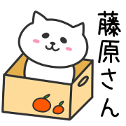 Cat for HUJIWARA