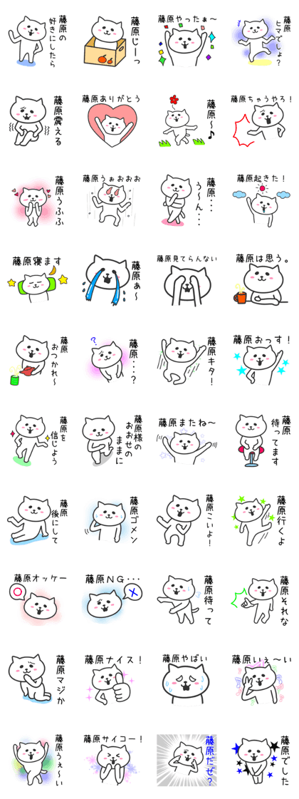 Cat for HUJIWARA