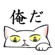 Master White Cat