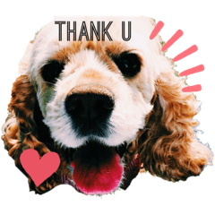 natsumi_20200715173445