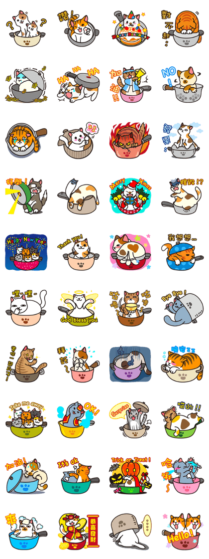cats pot