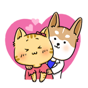 Amma Cat & Dog Doctor