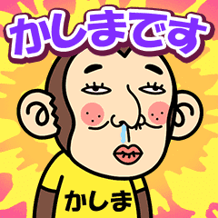 Kashima. is a Funny Monkey2