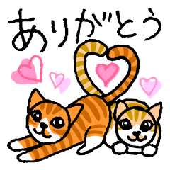 orange tabby cats