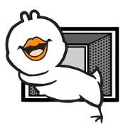 duck's day