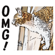 CATOON English ver.