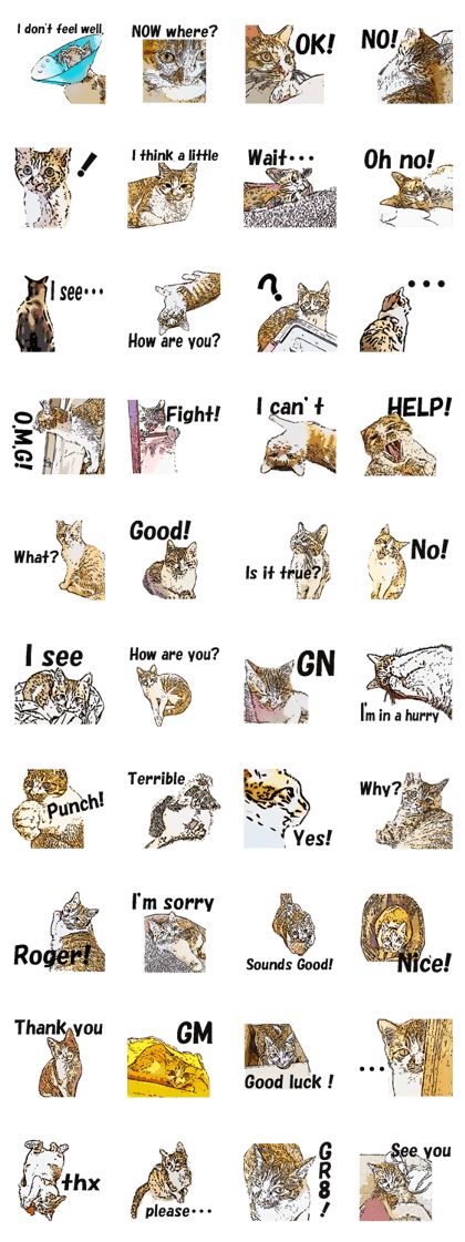 CATOON English ver.