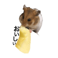 Natsumi_20200716115348