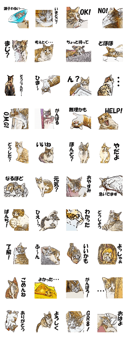 CATOON Japanese ver.