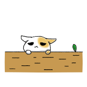 Sadness of negative cat Tama