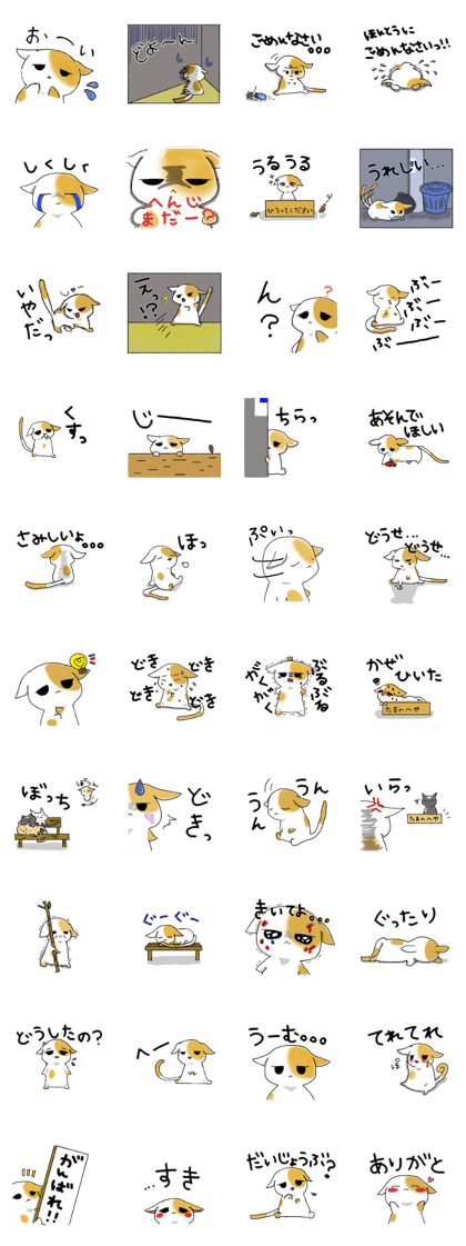 Sadness of negative cat Tama