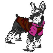 Our Schnauzers - Comics Our Schnauzers - Comics