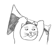 A life of Cat with Flask